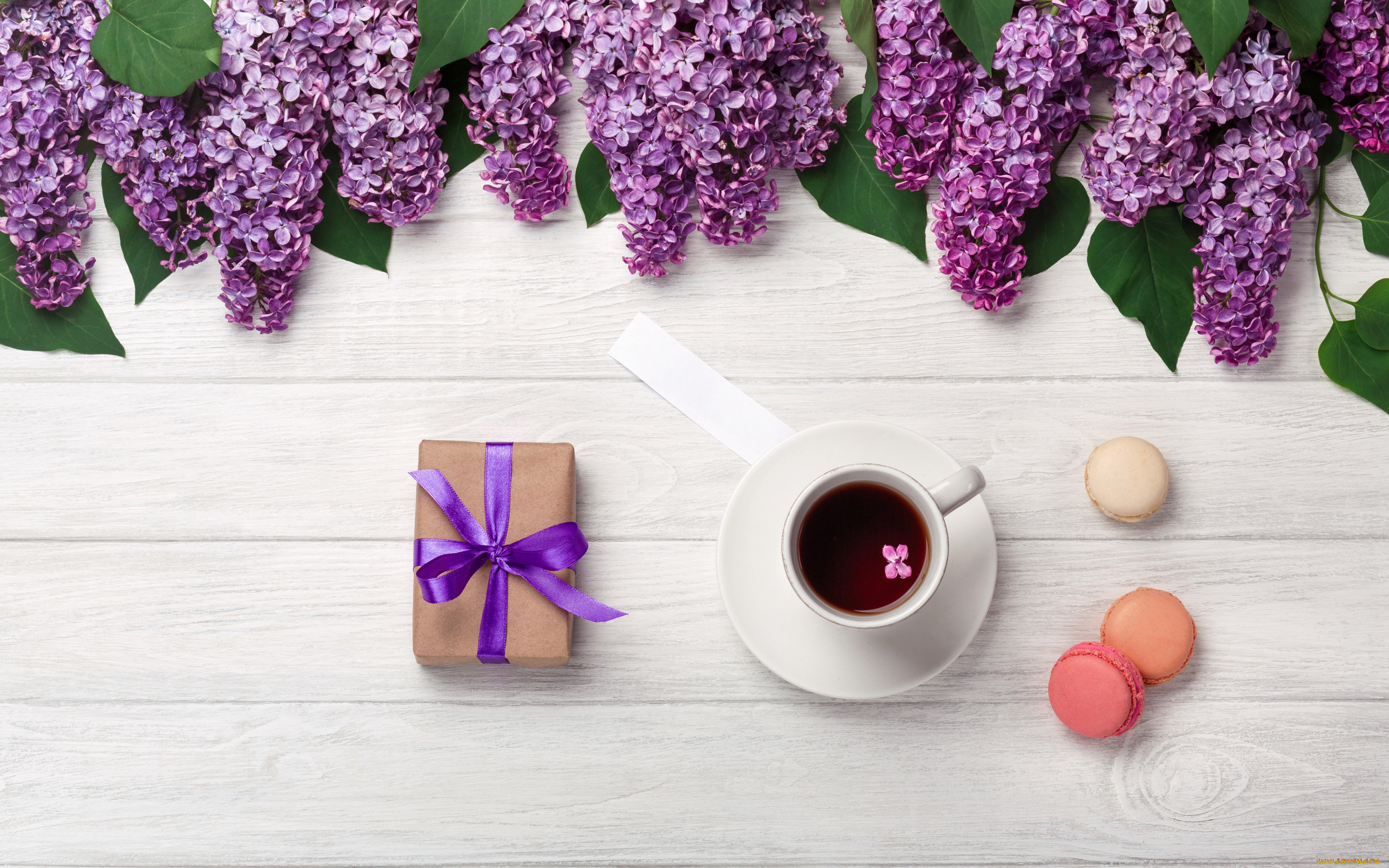 , ,   , , flowers, , romantic, coffee, cup, spring, purple, macarons, lilac, , 